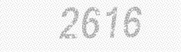 Visual security code — type the characters shown in the image