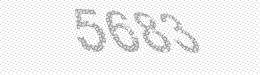 Visual security code — type the characters shown in the image